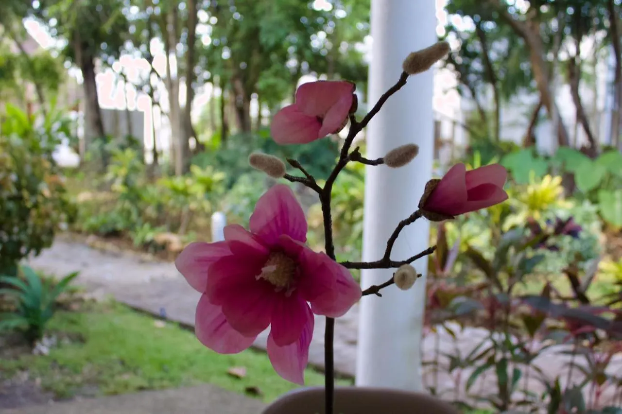 Feriehus Residencial Bali Casa Mariposa Villa Playa del Carmen